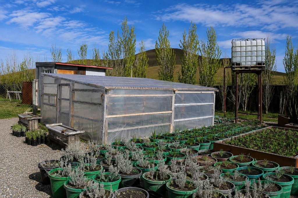 Instalaciones Vivero El Molle