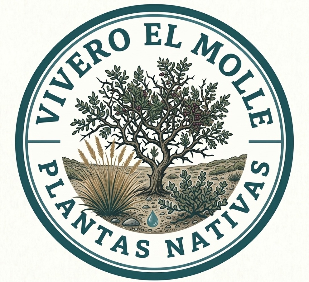 Logo Vivero El Molle